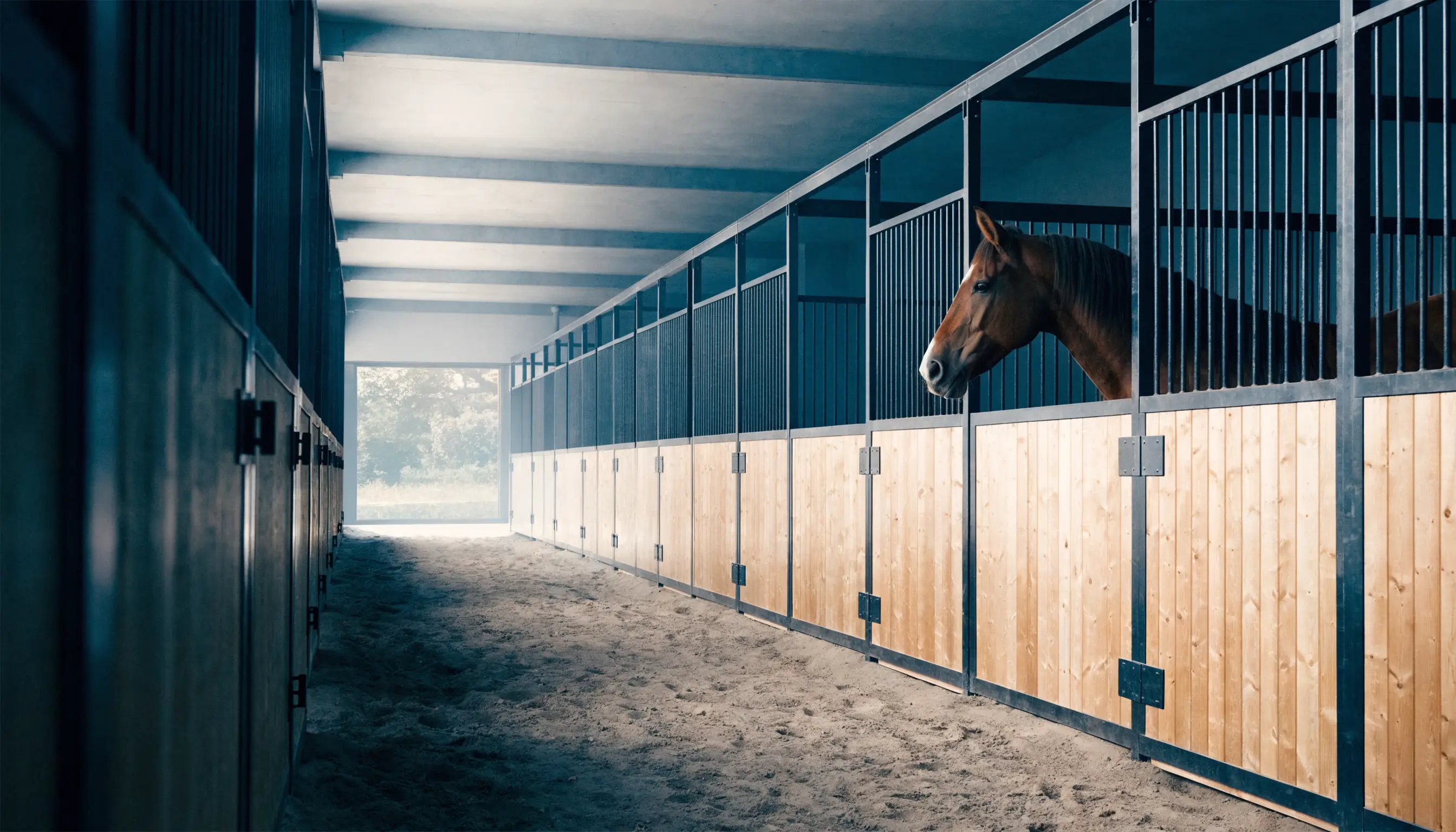 Schone Nederlandse paardenstal als symbool voor georganiseerde premium verzorging